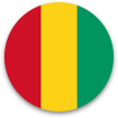 AFO Impact - Guinea
